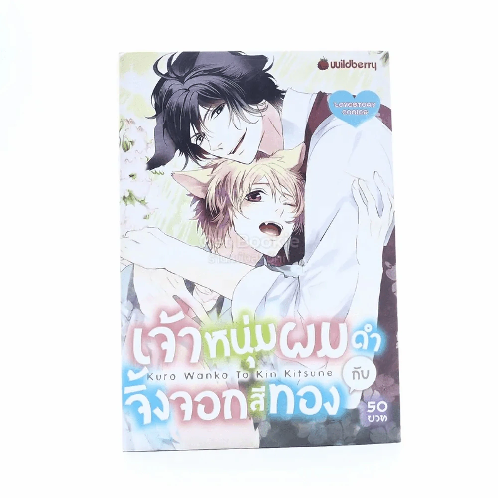 เจ้าหนุ่มผมดำกับจิ้งจอกสีทอง รูปที่ 1