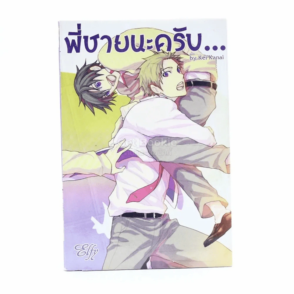 พี่ชายนะครับ รูปที่ 1