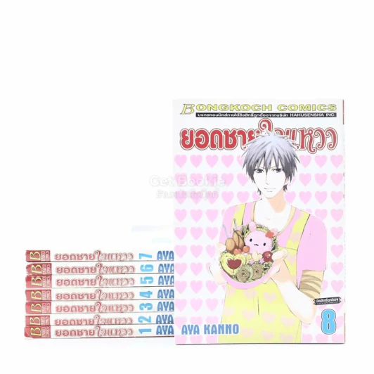 ยอดชายใจแหวว เล่ม 1-8 รูปที่ 1
