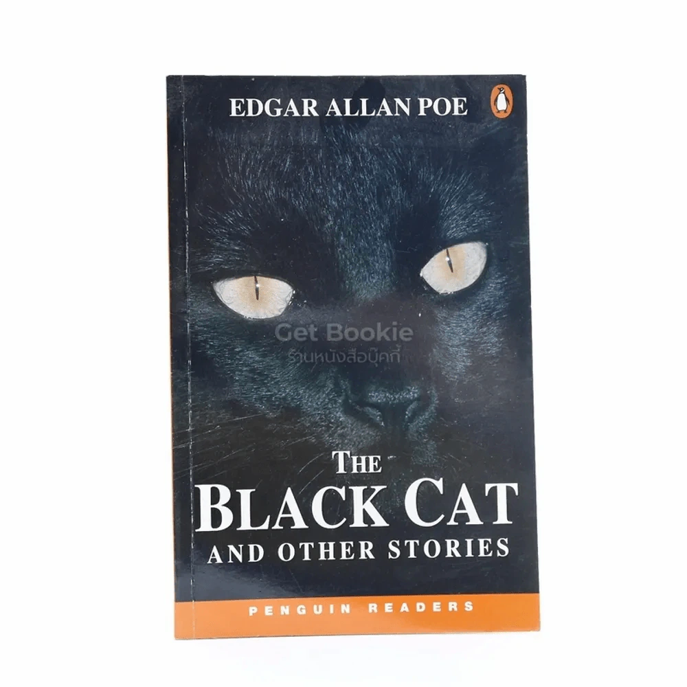 The Black Cat And Other Stories รูปที่ 1