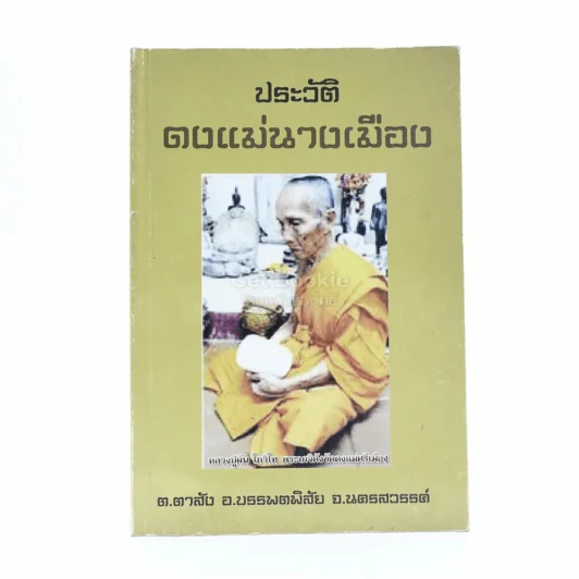 ประวัติ ดงแม่นางเมือง รูปที่ 1