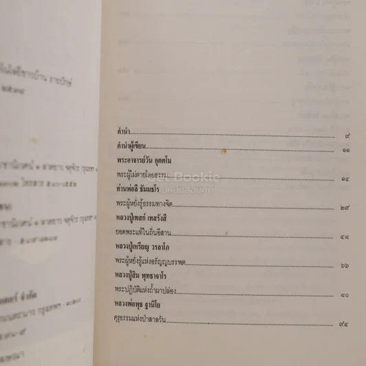 พระของชาวบ้าน 14 ปราชญ์พระป่า - สาระสันต์ แสงศรี รูปที่ 3