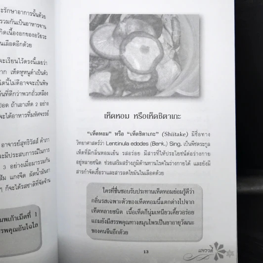 สมุนไพรไทยนพเก้า รูปที่ 11
