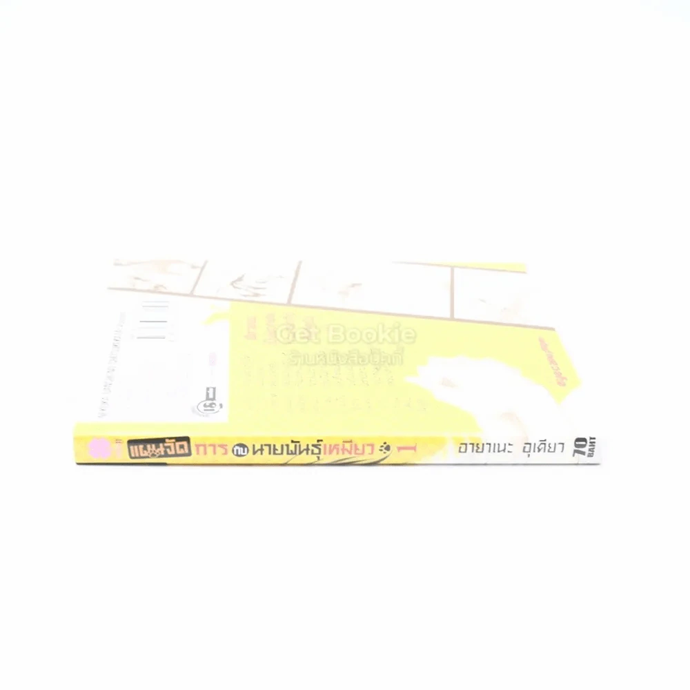 แผนจัดการกับนายพันธุ์เหมียว เล่ม 1 รูปที่ 2