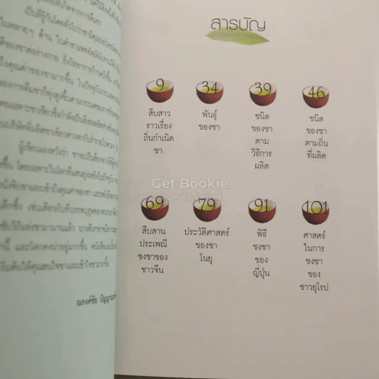 ชาใบไม้มหัศจรรย์ - ณรงค์ชัย ปัญญานนทชัย รูปที่ 3