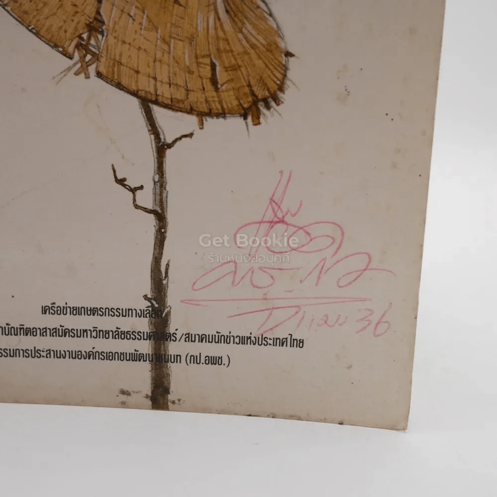 เกษตรกรรมทางเลือก หนทางรอดของเกษตรกรรมไทย รูปที่ 2