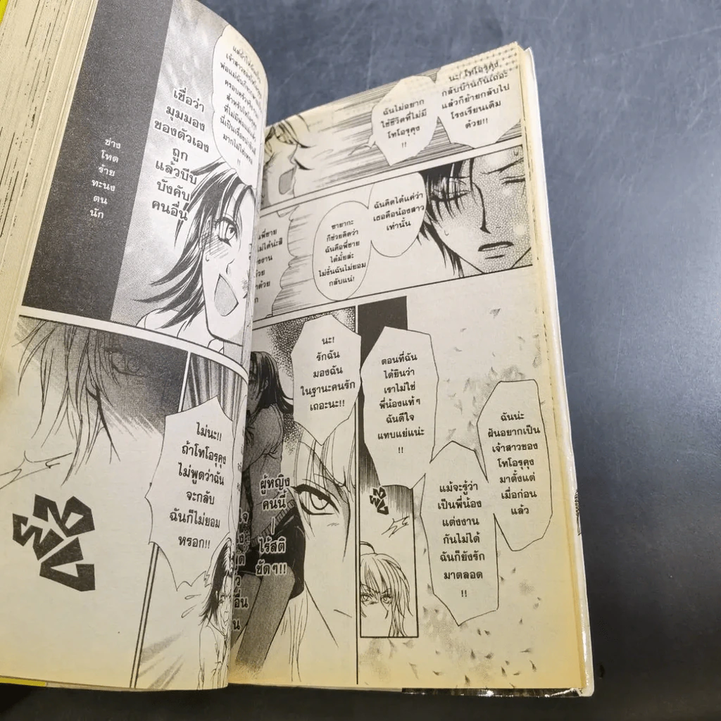 Princess Princess เขาให้ผมเป็น"เจ้าหญิง" ครับ เล่ม 1-4 รูปที่ 17