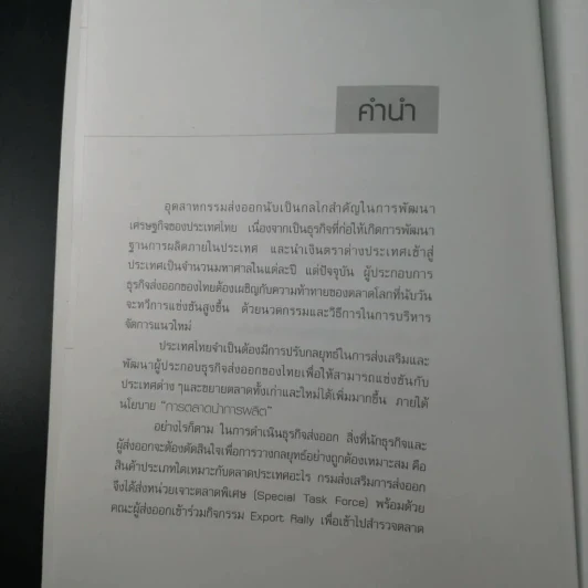 น้องเด็พลุยตลาดอินเดีย รูปที่ 5