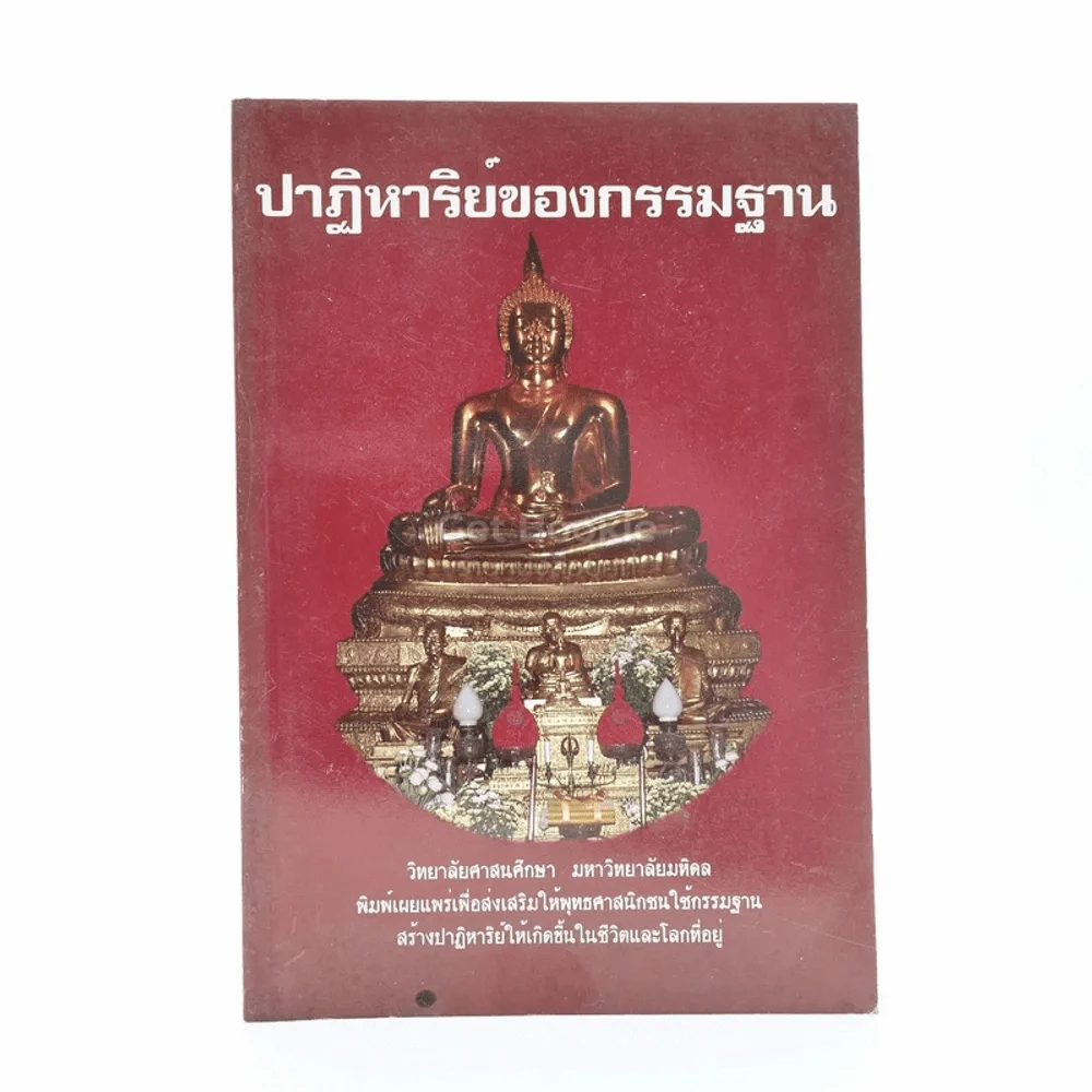 ปาฏิหาริย์ของกรรมฐาน รูปที่ 1