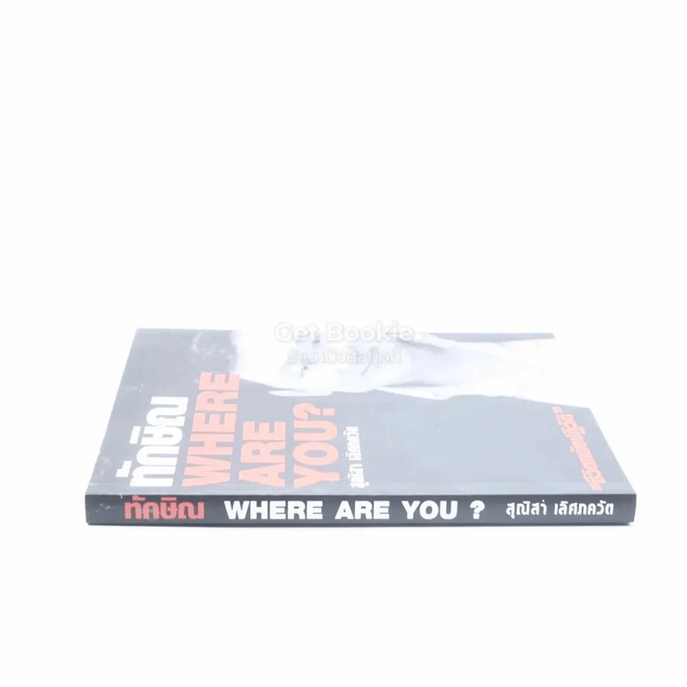 ทักษิณ Where Are You ชีวิตหลังปฎิวัติ - สุณิสา เลิศภควัต รูปที่ 2