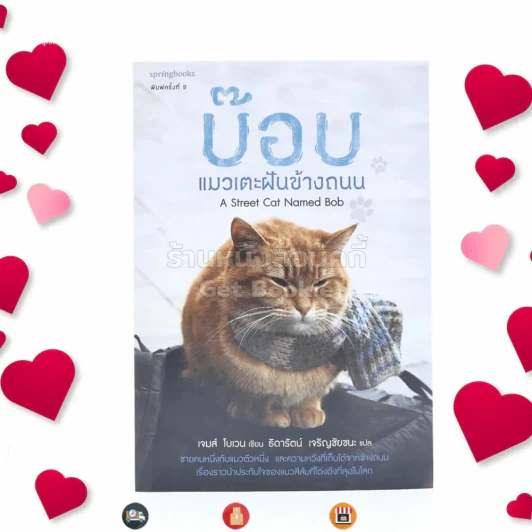 บ๊อบ แมวเตะฝันข้างถนน รูปที่ 1
