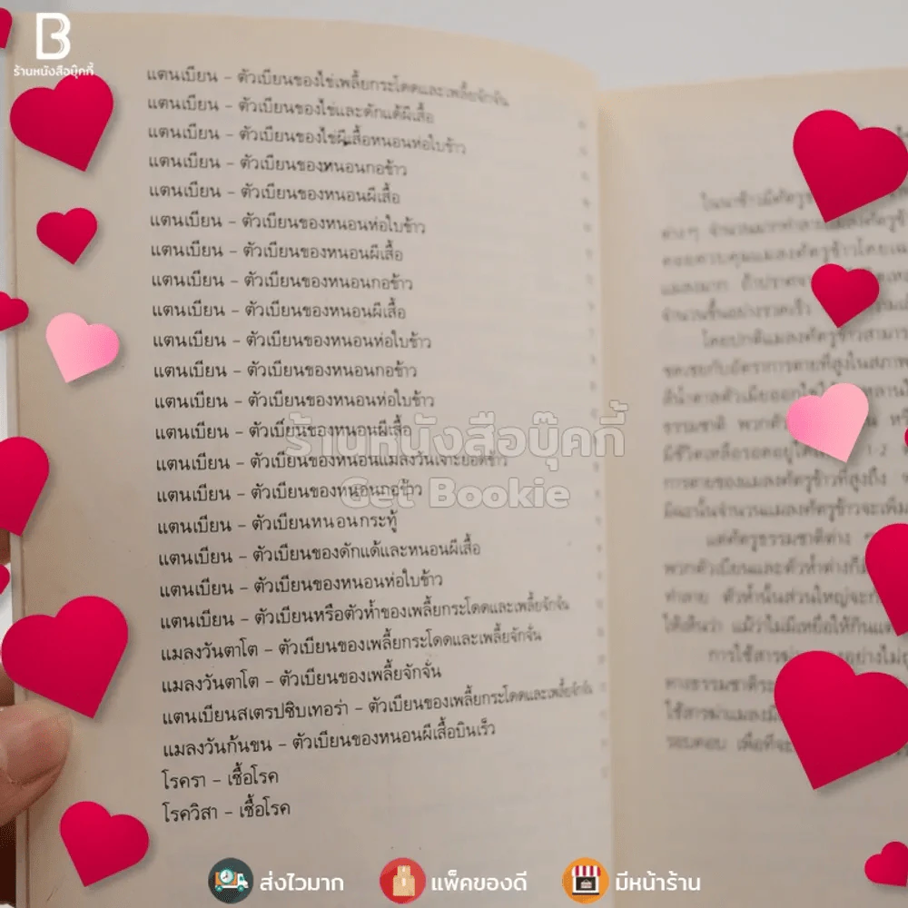 แมลงที่เป็นประโยชน์ แมงมุม และเชื้อโรค รูปที่ 4