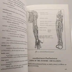 กายวิภาคศาสตร์ของมนุษย์ Human Anatomy รูปที่ 4