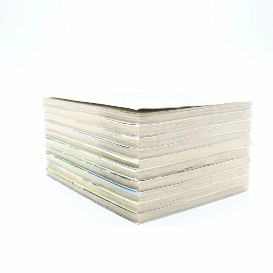 โกโต้ ประธานเลือดเดือด 10 เล่มจบ รูปที่ 5