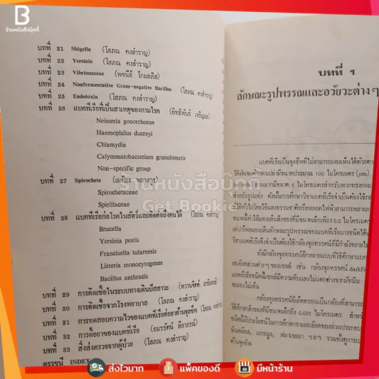 แบคทีเรียทางการแพทย์ - โสภณ คงสำราญ รูปที่ 4
