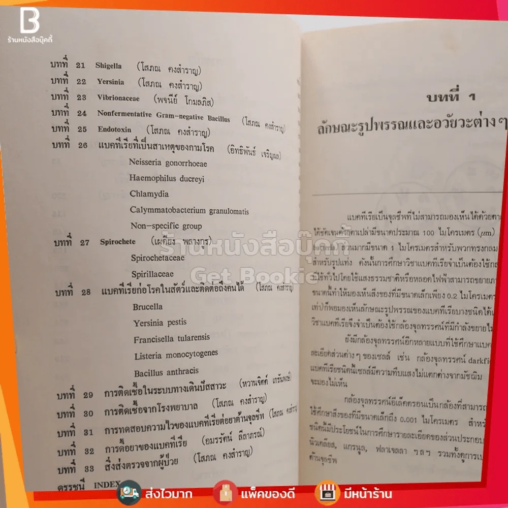 แบคทีเรียทางการแพทย์ - โสภณ คงสำราญ รูปที่ 4