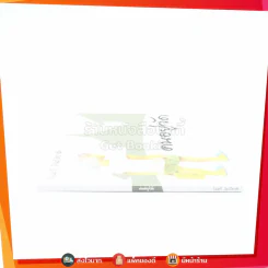 คนอยู่วัด - ไมตรี ลิมปิชาติ รูปที่ 2