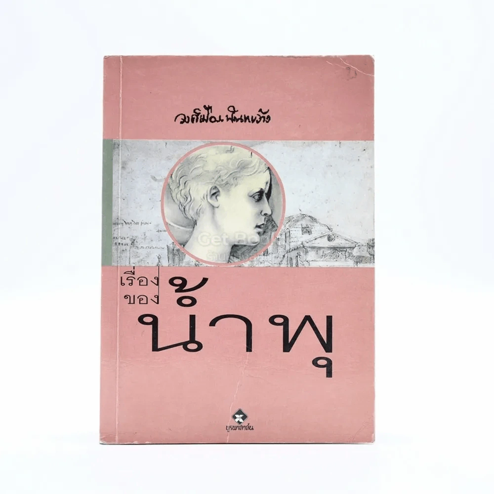 เรื่องของน้ำพุ - วงศ์เมือง นันทขว้าง รูปที่ 1