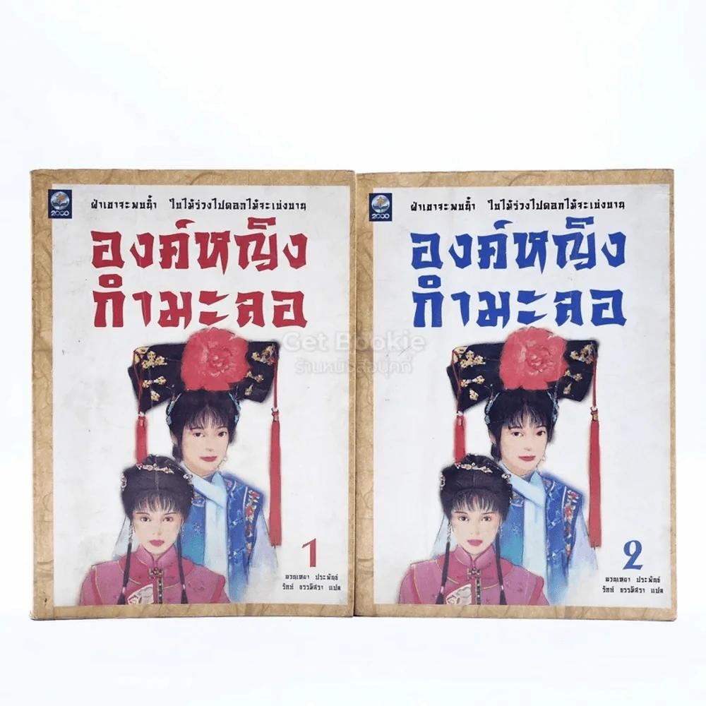 องค์หญิงกำมะลอ 2 เล่มจบ รูปที่ 1