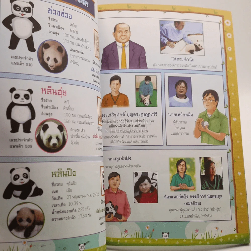 หลินปิง ด.ญ.แพนด้าน้อย รูปที่ 3