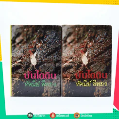 บันไดดิน 2 เล่มจบ - ทัศนีย์ สีทอง (ปกแข็ง) รูปที่ 1