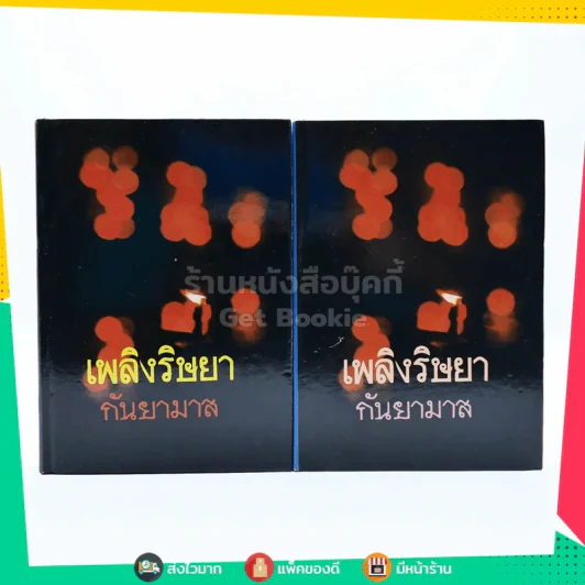 เพลิงริษยา 2 เล่มจบ - กันยามาส (ปกแข็ง) รูปที่ 1