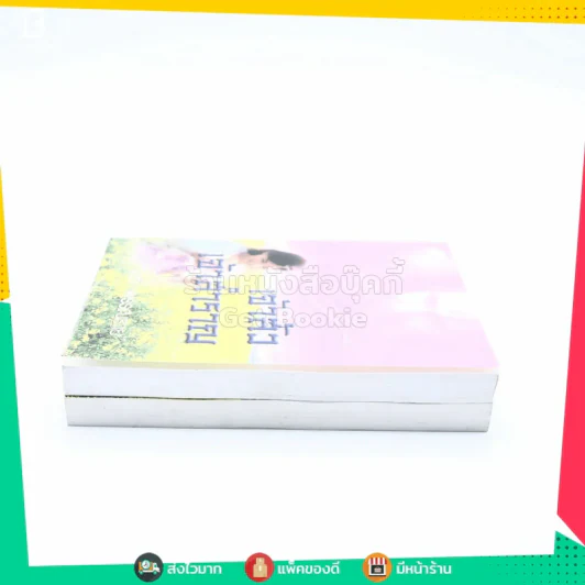เจ้าสัวเจ้าสำราญ 2 เล่มจบ - โสภี พรรณราย รูปที่ 3