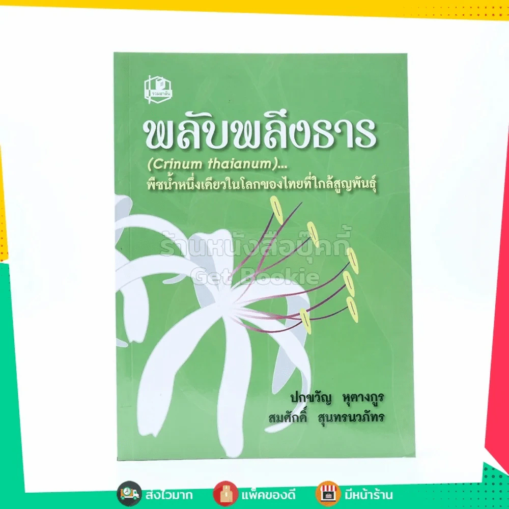 พลับพลึงธาร (Crinum Thaianum) พืชน้ำหนึ่งเดียวในโลกของไทยที่ใกล้สูญพันธุ์ รูปที่ 1