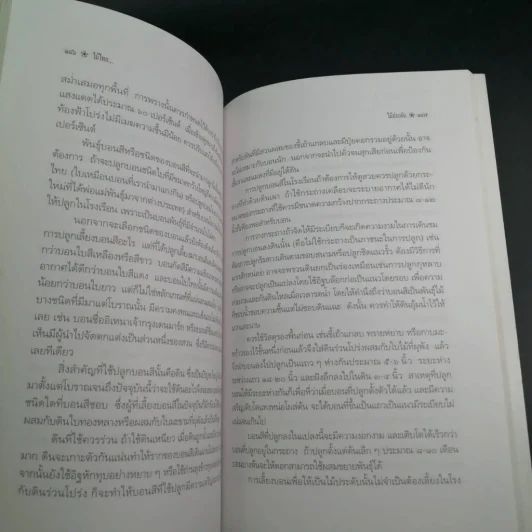 ไม้ไทยไม้ประดับ - พานิชย์ ยศปัญญา รูปที่ 8