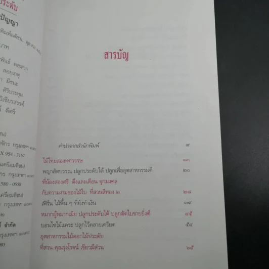ไม้ไทยไม้ประดับ - พานิชย์ ยศปัญญา รูปที่ 20