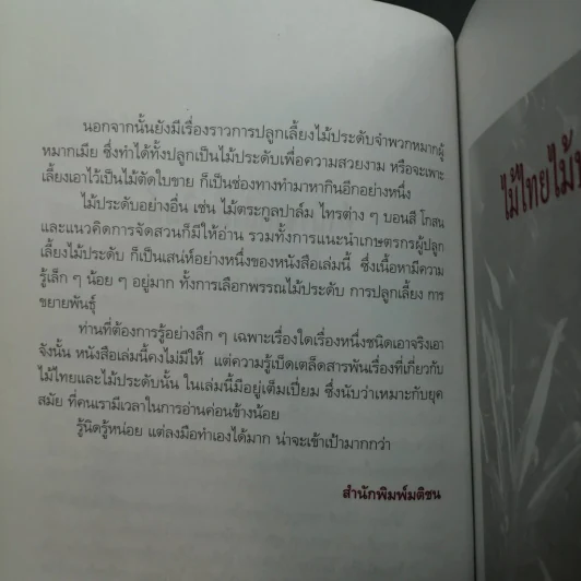 ไม้ไทยไม้ประดับ - พานิชย์ ยศปัญญา รูปที่ 4