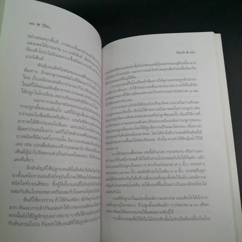 ไม้ไทยไม้ประดับ - พานิชย์ ยศปัญญา รูปที่ 8