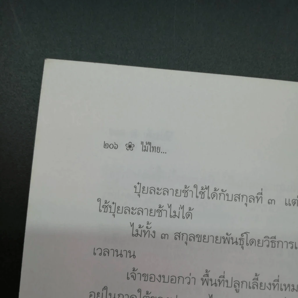 ไม้ไทยไม้ประดับ - พานิชย์ ยศปัญญา รูปที่ 3