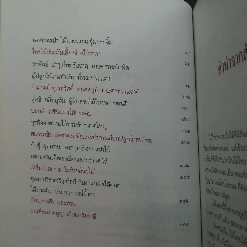 ไม้ไทยไม้ประดับ - พานิชย์ ยศปัญญา รูปที่ 21