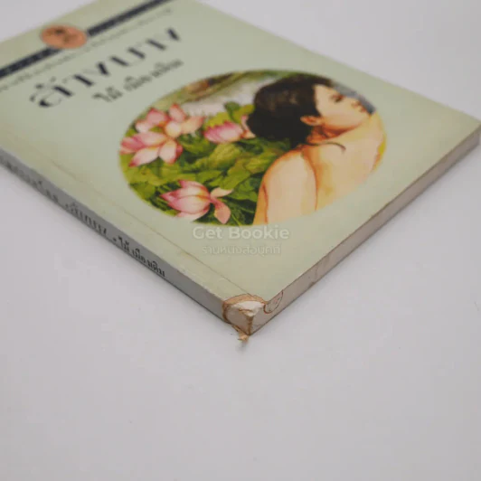 ล้างบาง - ไม้ เมืองเดิม รูปที่ 3