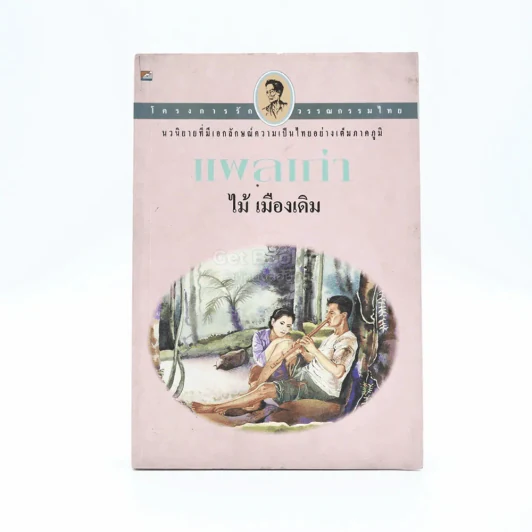 แผลเก่า - ไม้ เมืองเดิม รูปที่ 1