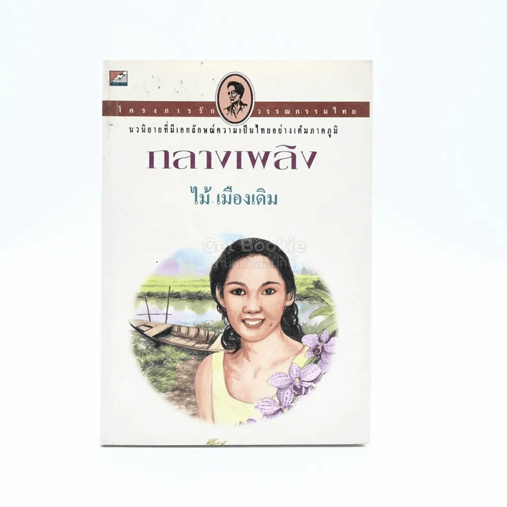 กลางเพลิง - ไม้เมืองเดิม รูปที่ 1