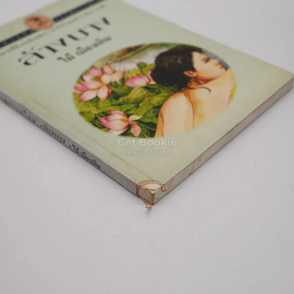 ล้างบาง - ไม้ เมืองเดิม รูปที่ 3