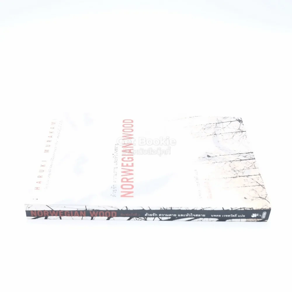 Norwegian Wood ด้วยรัก ความตาย และหัวใจสลาย - Haruki Murakami รูปที่ 2