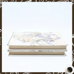 สะใภ้จ้าว 2 เล่มจบ - รจนา รูปที่ 3