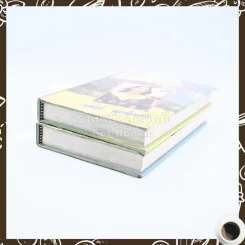 ฟ้าเพียงดิน 2 เล่มจบ - เสนีย์ บุษปะเกศ รูปที่ 5