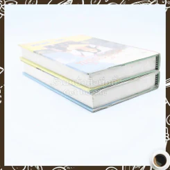ฟ้าเพียงดิน 2 เล่มจบ - เสนีย์ บุษปะเกศ รูปที่ 6