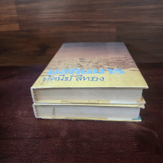 มลทินมาร 2 เล่มจบ - ทัศนีย์ สีทอง รูปที่ 3