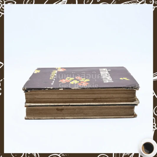 ค่าของคน 2 เล่มจบ - โรสลาเรน รูปที่ 3