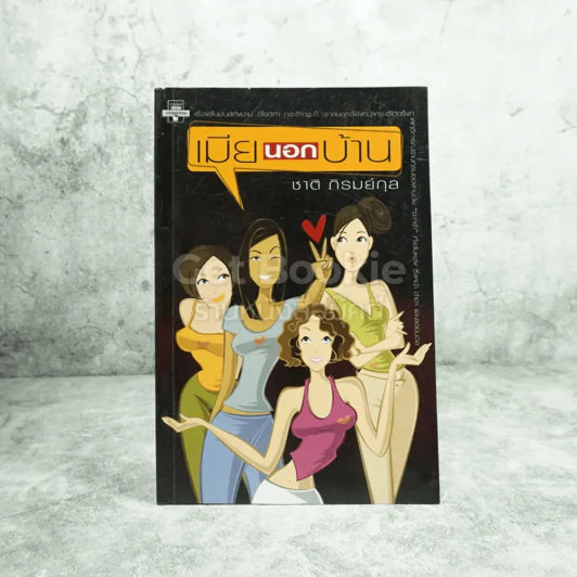 เมียนอกบ้าน - ชาติ  ภิรมย์กุล รูปที่ 1