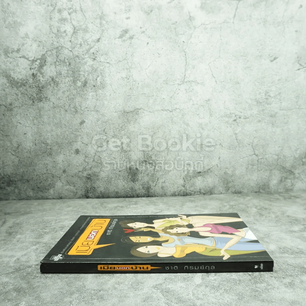เมียนอกบ้าน - ชาติ  ภิรมย์กุล รูปที่ 2