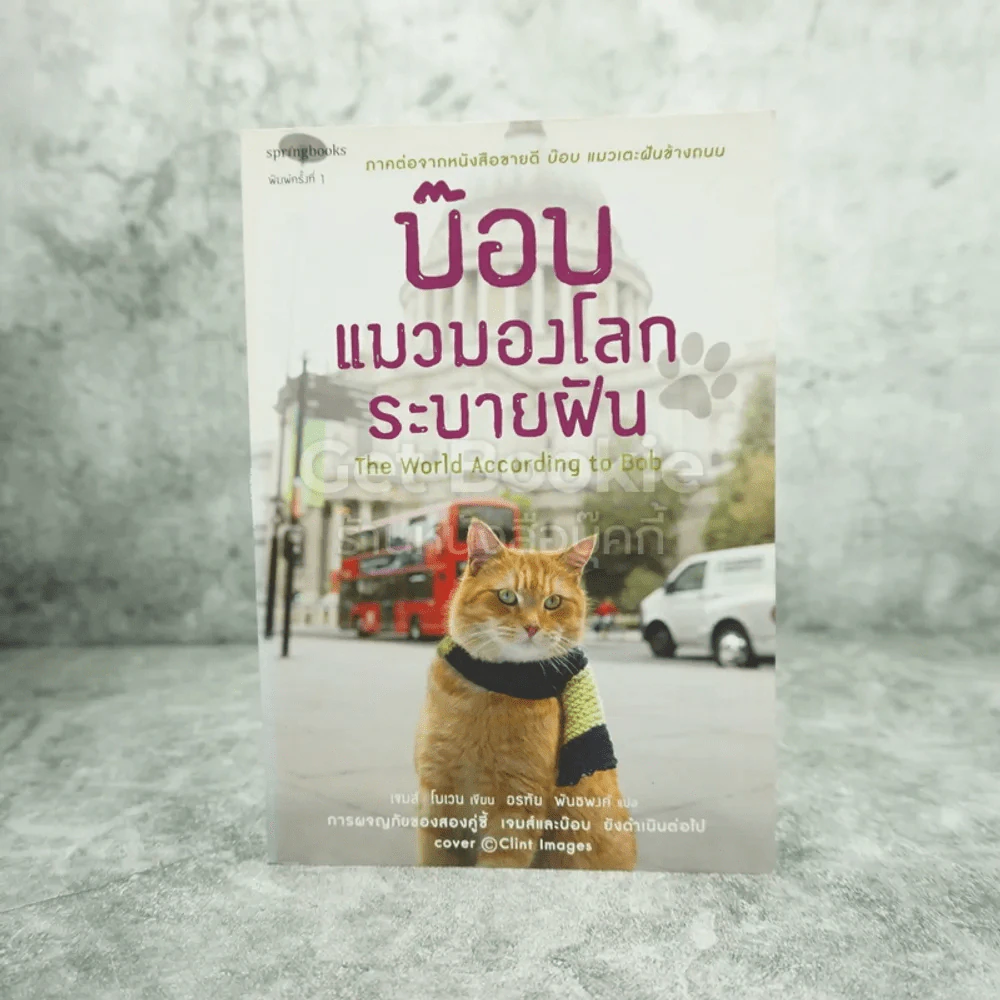 บ๊อบ แมวมองโลกระบายฝัน รูปที่ 1
