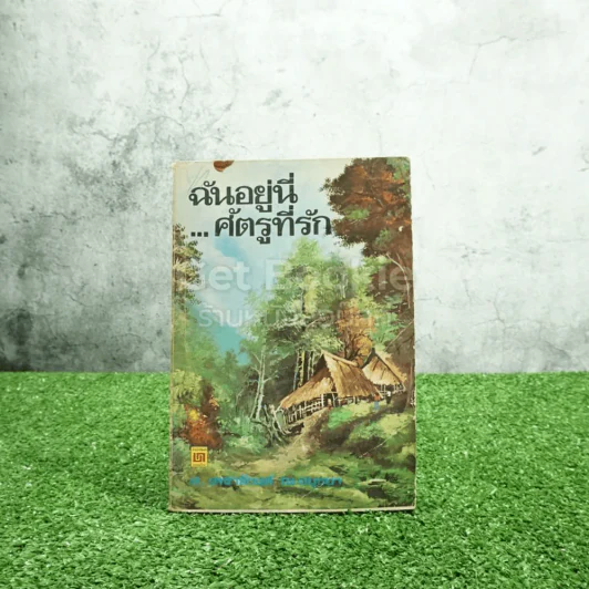 ฉันอยู่นี่ศัตรูที่รัก - ส.เดชาติวงศ์ ณ อยุธยา รูปที่ 1