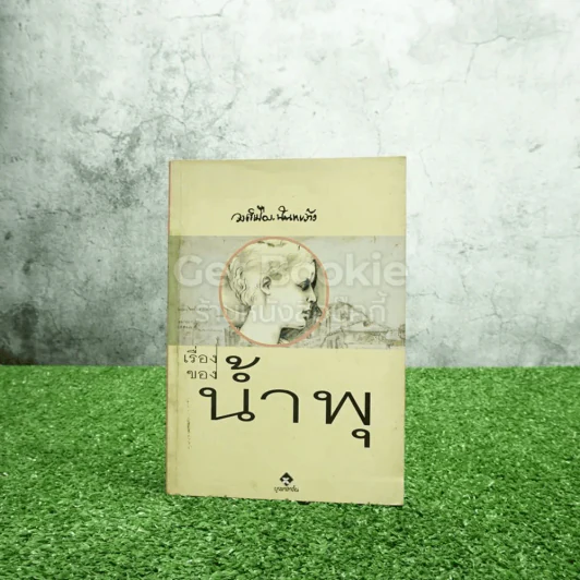 เรื่องของน้ำพุ - วงศ์เมือง นันทขว้าง รูปที่ 1