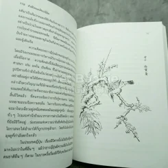 ชำเลืองแลศิลปะญี่ปุ่น รูปที่ 3